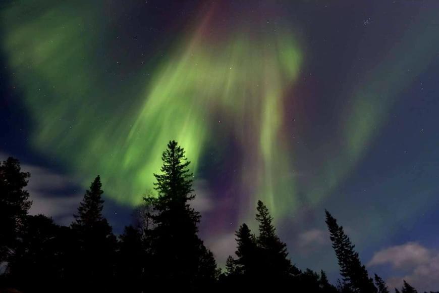 Graceland Norway Foldereid Екстер'єр фото